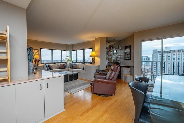 living room featuring light wood finished floors