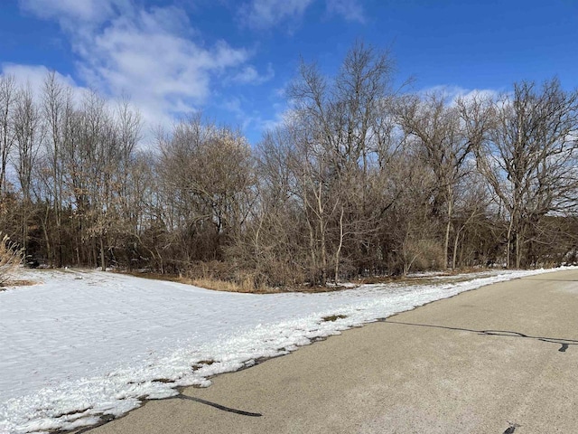 Listing photo 2 for LOT2 Hidden Valley Dr, Beaver Dam WI 53916