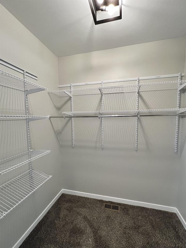 spacious closet with carpet floors and visible vents