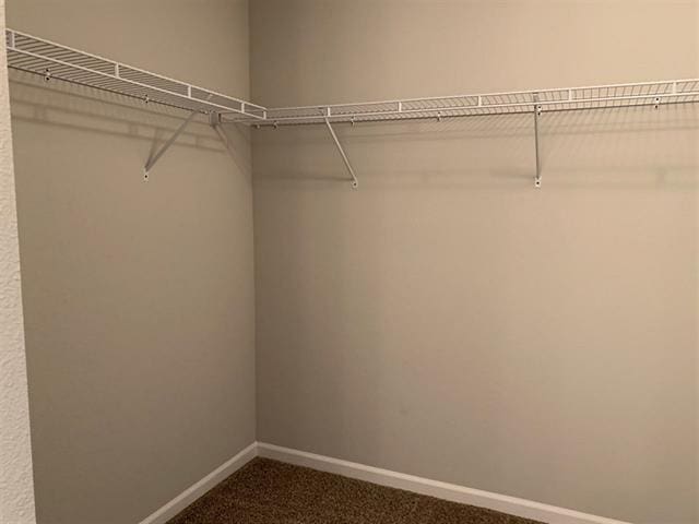 walk in closet featuring dark colored carpet