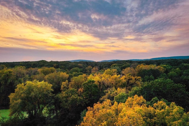 mountain view featuring a forest view