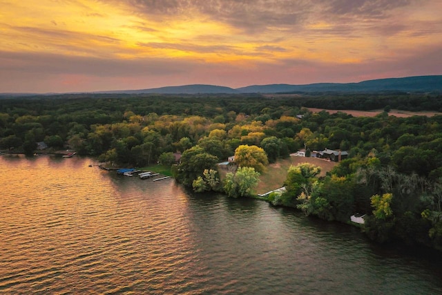 drone / aerial view featuring a forest view and a water and mountain view