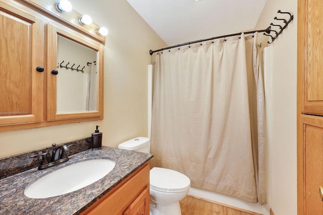 bathroom with toilet and vanity