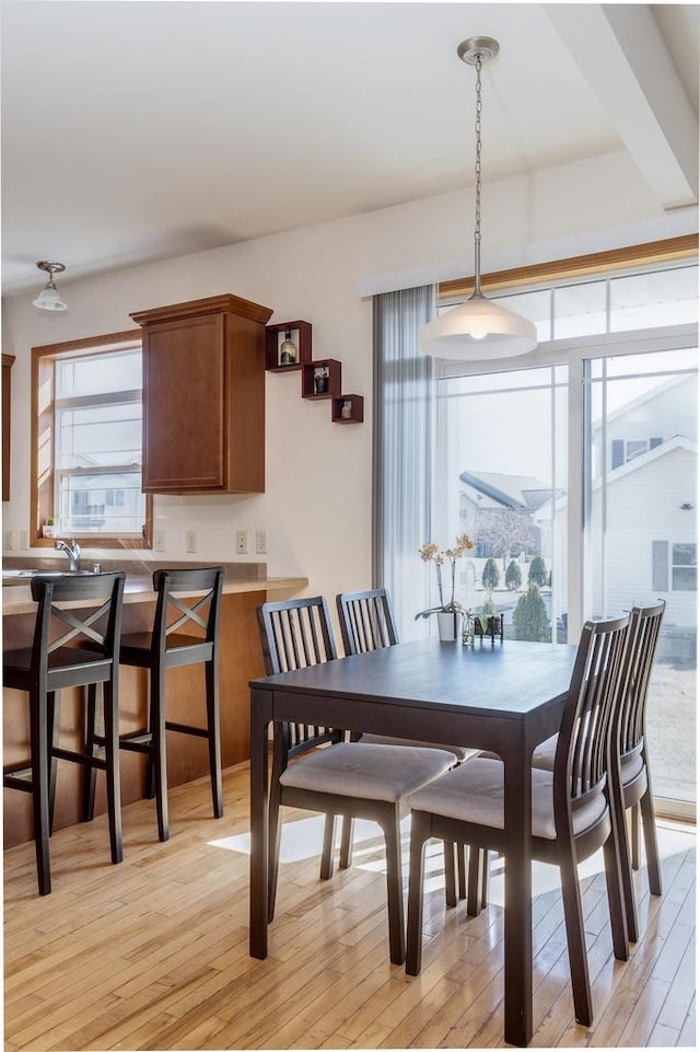 dining area featuring a healthy amount of sunlight and light wood-type flooring