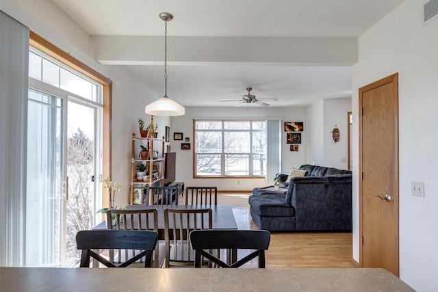 dining area featuring visible vents, light wood-style flooring, and a ceiling fan