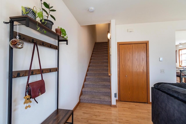 stairway featuring wood finished floors