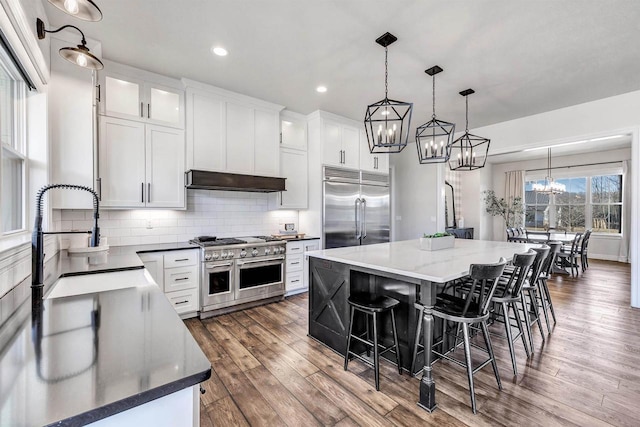 kitchen featuring premium appliances, a sink, white cabinetry, decorative backsplash, and dark wood-style floors