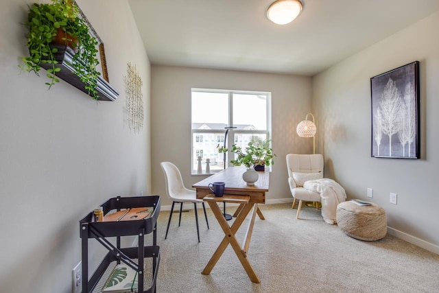 office with baseboards and carpet flooring