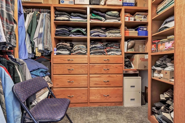 walk in closet with carpet