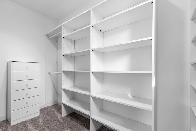 spacious closet with carpet