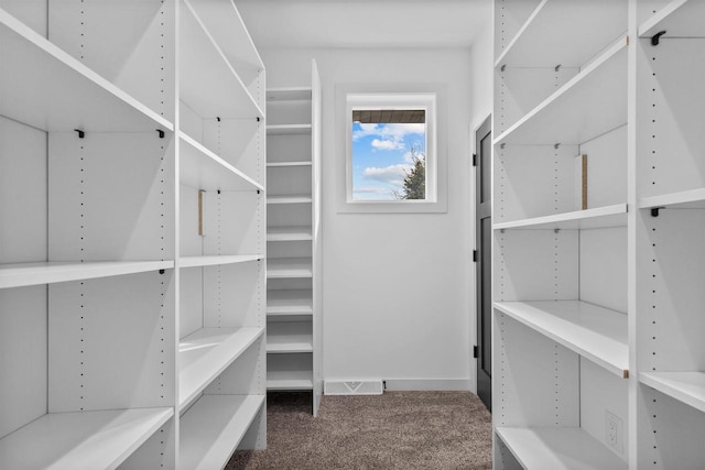 walk in closet featuring carpet