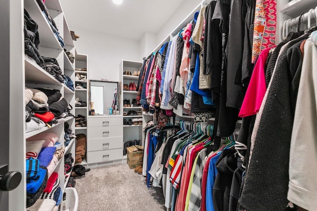 spacious closet featuring carpet flooring