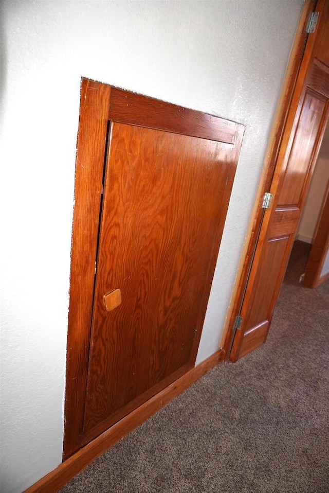 interior details featuring baseboards and carpet flooring