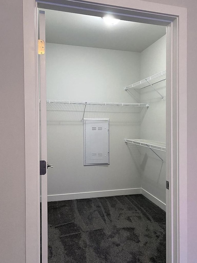 walk in closet with dark carpet