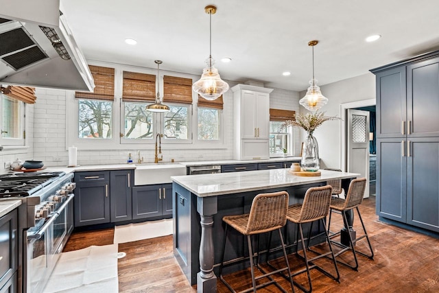 kitchen featuring a wealth of natural light, range hood, double oven range, and a sink