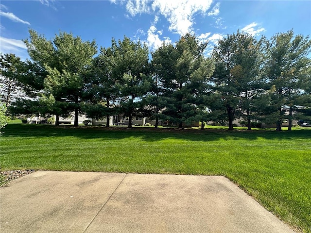 546 Williamsburg Pl, New Richmond, WI 54017 - view of grassy yard