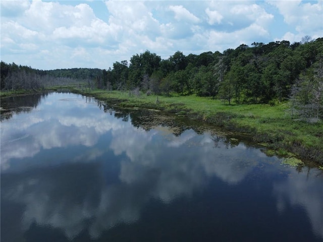 water view featuring a forest view