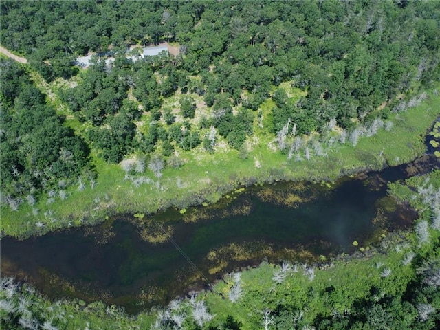 drone / aerial view featuring a forest view