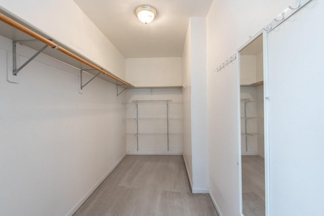 walk in closet featuring carpet flooring