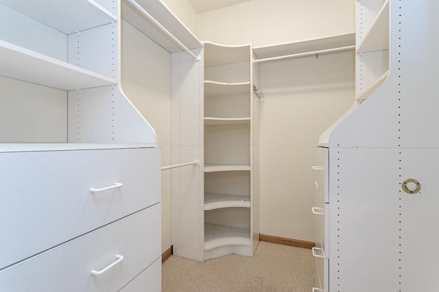 spacious closet with carpet flooring