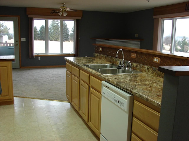 kitchen featuring white dishwasher, a sink, a wealth of natural light, and light colored carpet