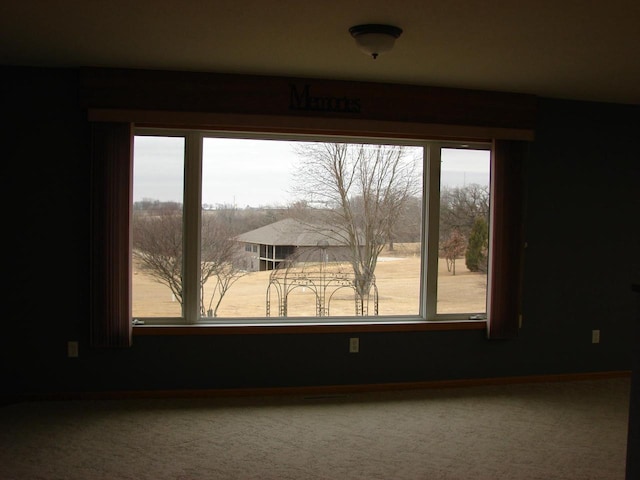 spare room featuring a wealth of natural light and carpet