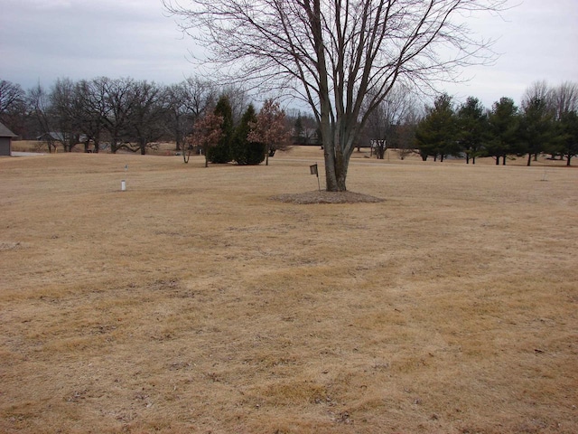 view of yard with a rural view