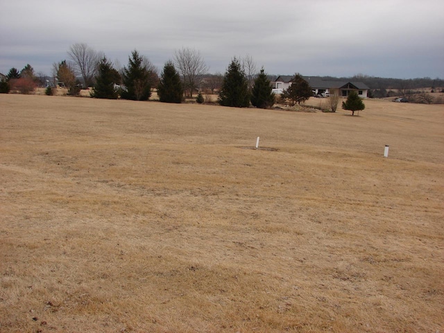 view of yard featuring a rural view