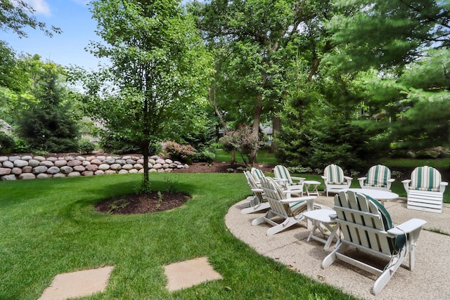 view of yard featuring a patio area