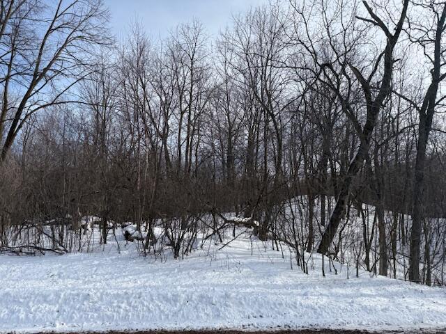 LT0 Snake Rd, Elkhart Lake WI, 53020 land for sale