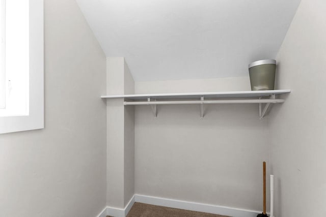 704 Fromm Ln, Elkhart Lake, WI 53020 - spacious closet with carpet flooring