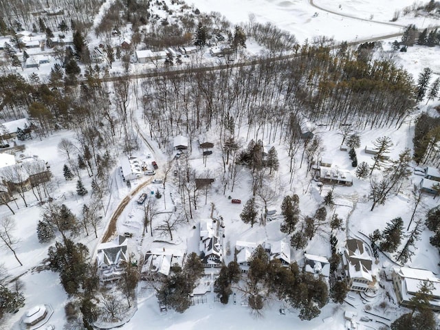 704 Fromm Ln, Elkhart Lake, WI 53020 - view of snowy aerial view