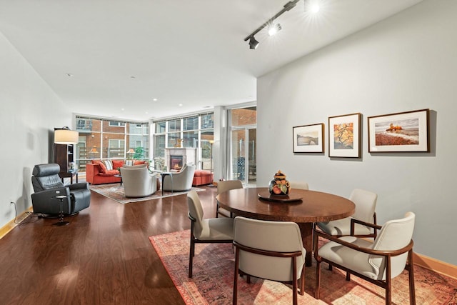 dining room featuring a wealth of natural light, a glass covered fireplace, floor to ceiling windows, and wood finished floors