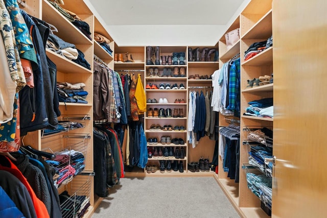 walk in closet featuring carpet floors