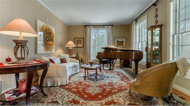 living area with baseboards and ornamental molding