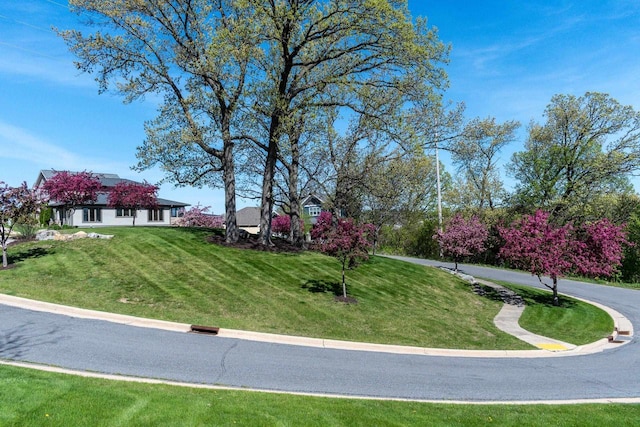 6663 S Chickahauk Trl, Middleton, WI 53562 - surrounding community with a lawn