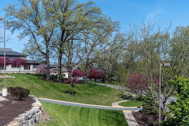6663 S Chickahauk Trl, Middleton, WI 53562 - view of community featuring a lawn