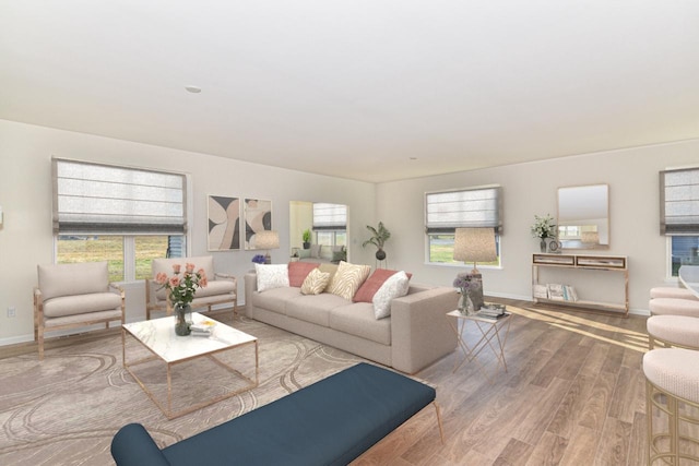 living room with baseboards and wood finished floors