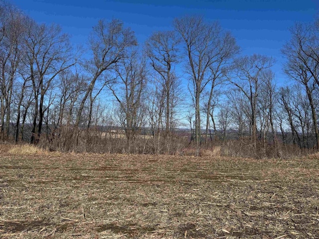 Darrow Rd Unit 17.87, Acres, Mauston WI, 53948 land for sale