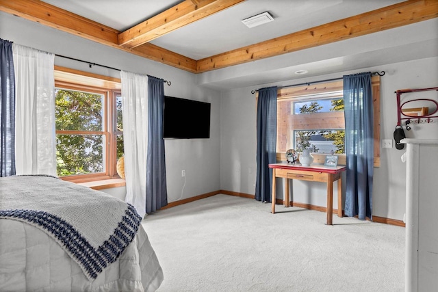 W3084 Blackbird Point Dr, Green Lake, WI 53946 - bedroom with carpet floors, multiple windows, beam ceiling, and baseboards