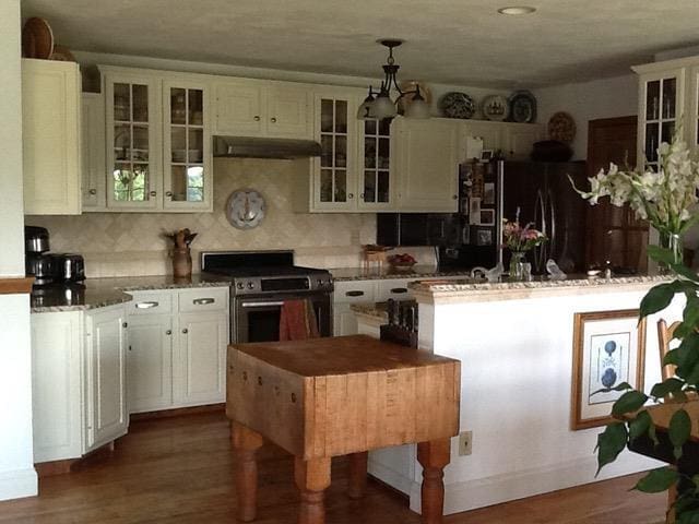 kitchen with refrigerator, electric stove, dark wood-style floors, and under cabinet range hood