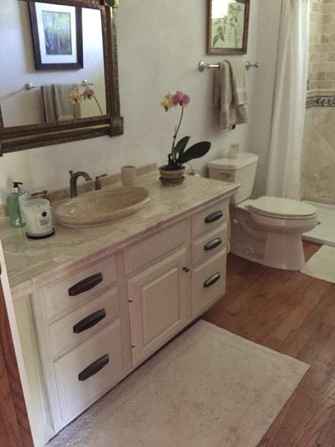 full bathroom featuring toilet, vanity, a shower with curtain, and wood finished floors