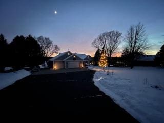 view of yard with a garage and driveway