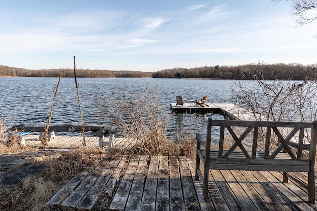 dock area with a water view