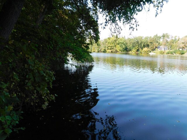 view of water feature