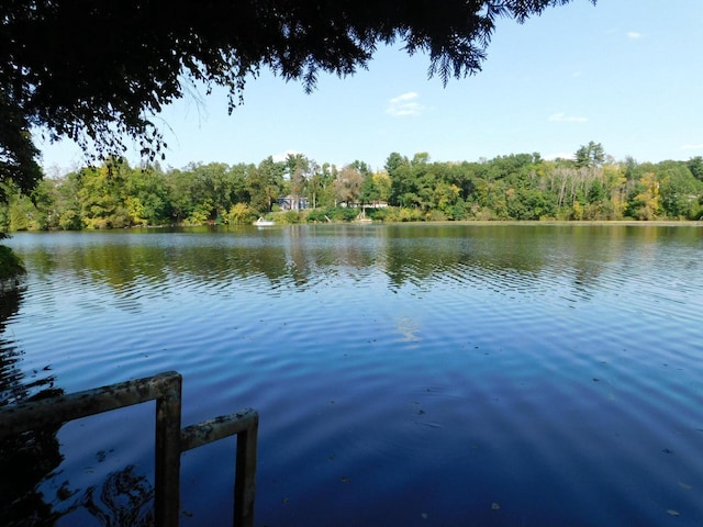 property view of water with a wooded view