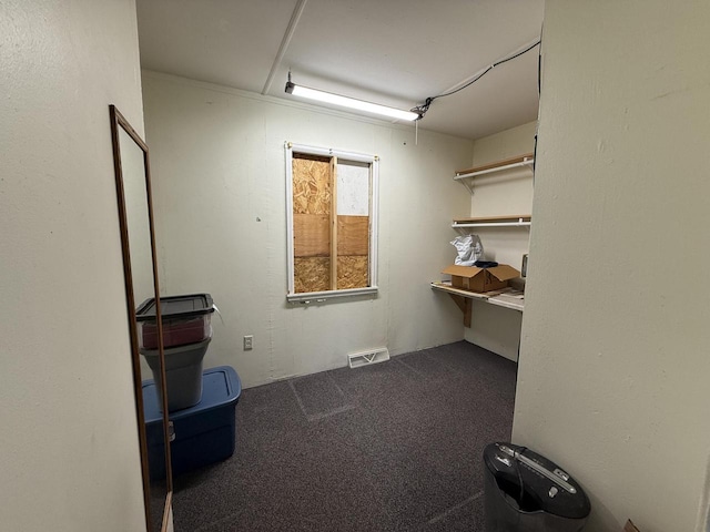 storage room with visible vents