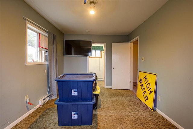 interior space with carpet floors, baseboards, and a wealth of natural light