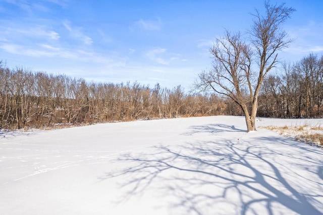 view of yard layered in snow