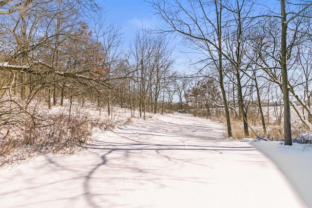 view of yard layered in snow